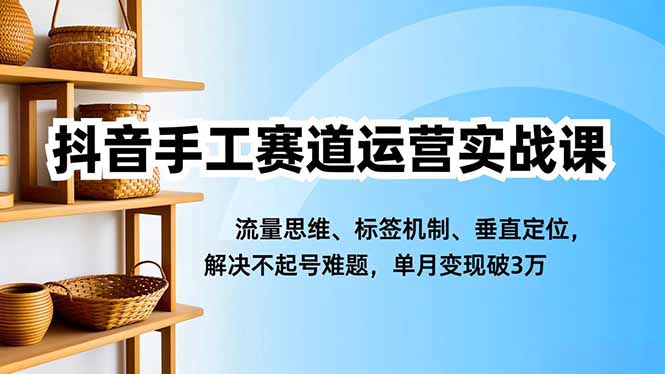 抖音手工赛道运营实战课，流量思维、标签机制、垂直定位，解决不起号难题，单月变现破3万-智云网