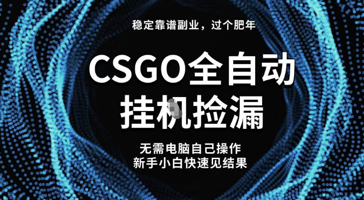 【稳定副业】全球最热门游戏CSGO全自动捡漏，最新玩法，新手小白日入5张+【揭秘】-智云网