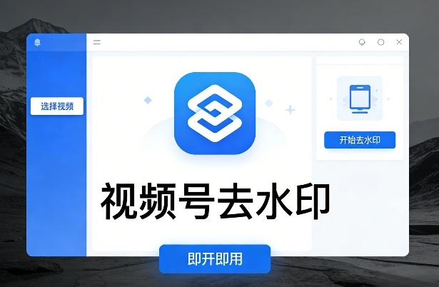 视频号去水印软件，电脑软件，即开即用-智云网