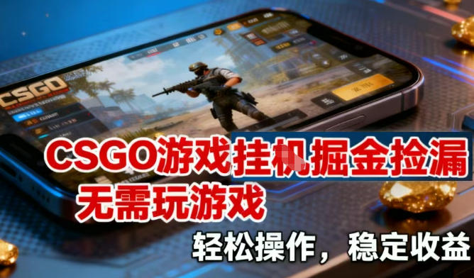 CSGO游戏挂G掘金捡漏，不需要玩游戏，操作简单，收益稳定【揭秘】-智云网