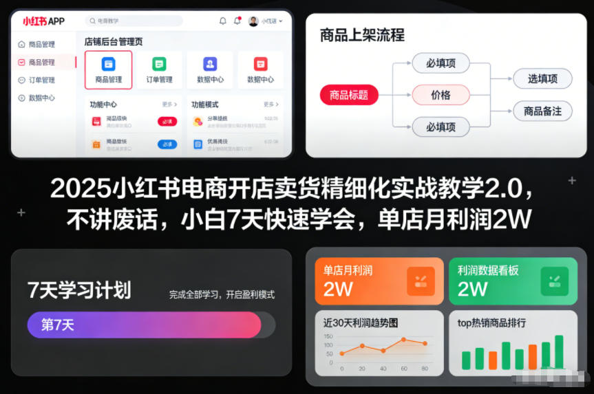 2025小红书电商开店卖货精细化实战教学2.0，不讲废话，小白7天快速学会，单店月利润2W-智云网