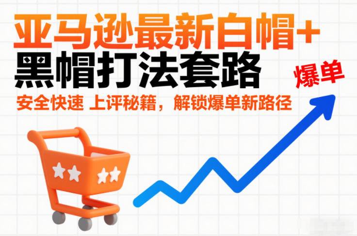 亚马逊最新白帽+黑帽打法套路，安全快速上评秘籍，解锁爆单新路径-智云网