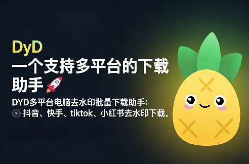 DYD多平台电脑去水印批量下载助手:抖音、快手、tiktok、小红书去水印下载-智云网