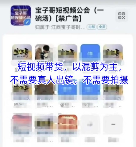 宝子哥头部团队短视频带货，以混剪为主，不需要真人出镜，不需要拍摄【更新11月】-智云网