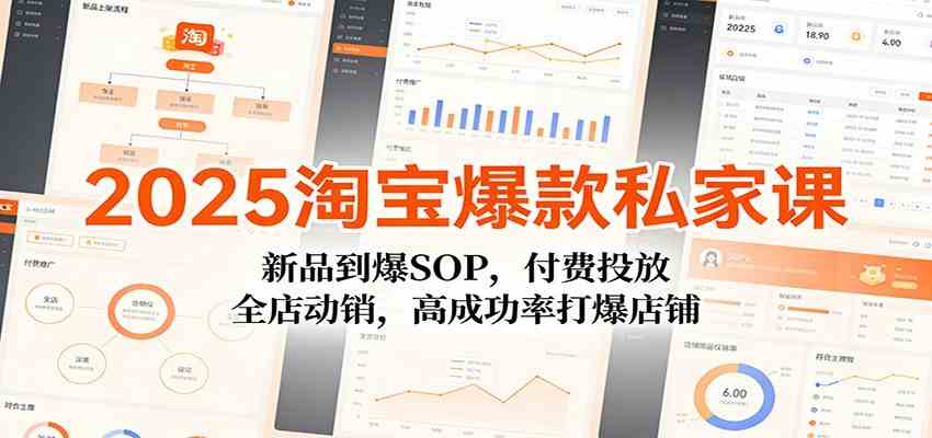 2025淘宝爆款私家课：新品到爆SOP，付费投放，全店动销，高成功率打爆店铺-智云网