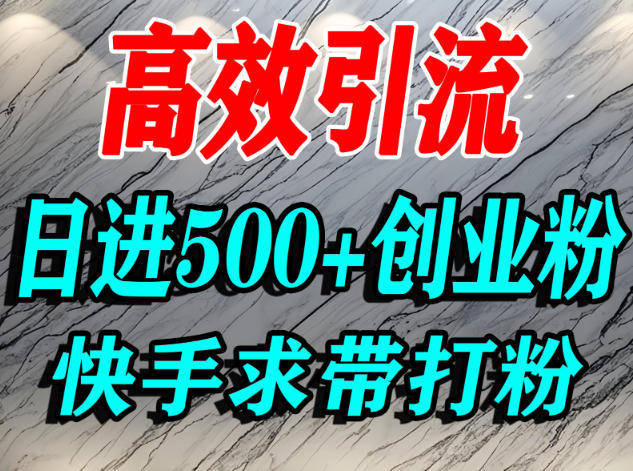 怎么打创业粉？快手求带视角精准引流创业粉，宝妈、学生群体日进500+精准流量-智云网