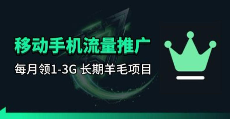 手机流量领取推广_每月一轮，刚需类的长期项目-智云网