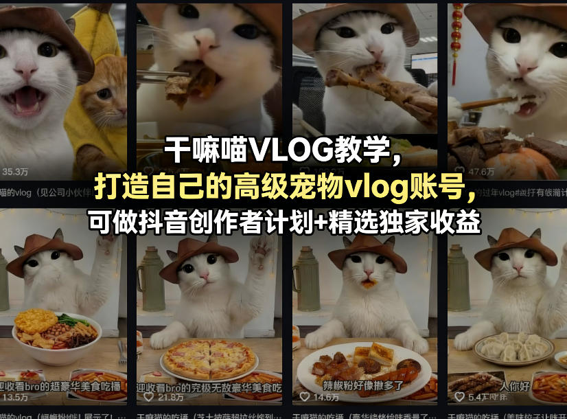 干嘛喵VLOG教学，打造自己的高级宠物vlog账号，可做抖音创作者计划+精选独家收益-智云网