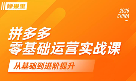 仙道电商·拼多多零基础运营实战课-智云网