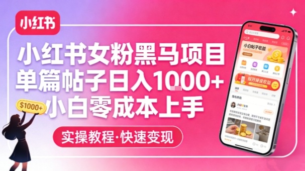 小红书女粉黑马项目,单篇帖子日入1k+,小白零成本上手-智云网